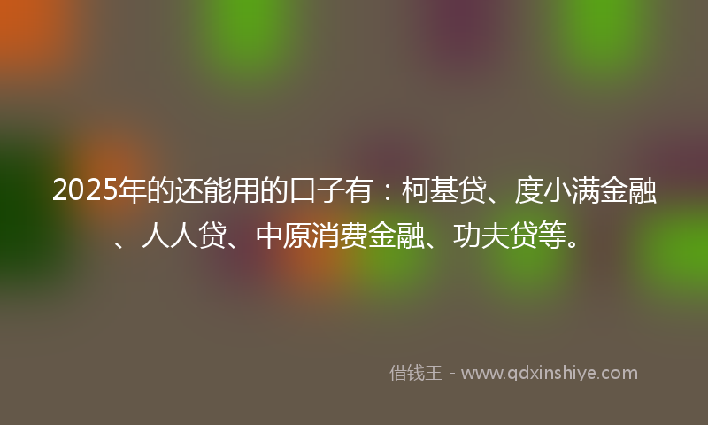 2025年的还能用的口子有：柯基贷、度小满金融、人人贷、中原消费金融、功夫贷等。