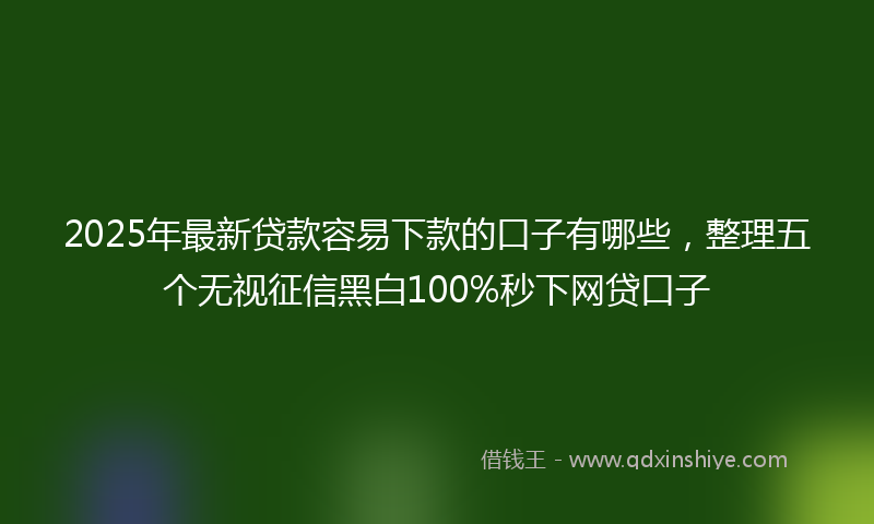 2025年最新贷款容易下款的口子有哪些，整理五个无视征信黑白100%秒下网贷口子