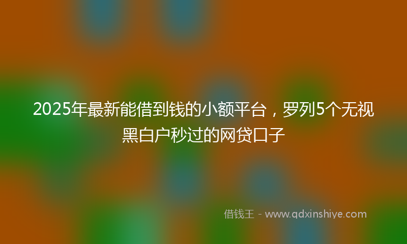 2025年最新能借到钱的小额平台，罗列5个无视黑白户秒过的网贷口子