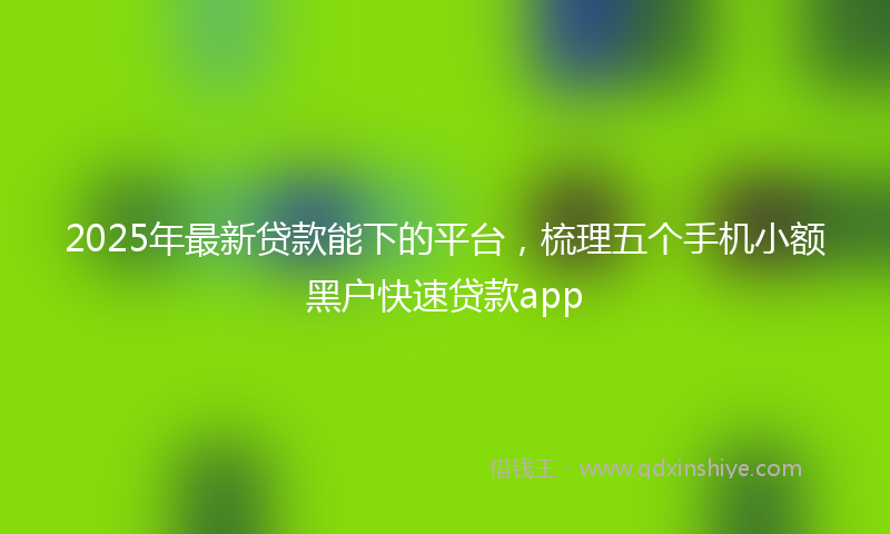 2025年最新贷款能下的平台，梳理五个手机小额黑户快速贷款app