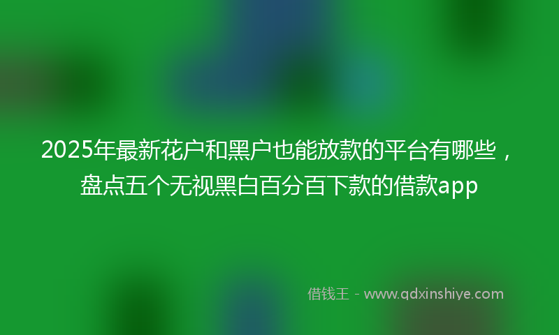 2025年最新花户和黑户也能放款的平台有哪些，盘点五个无视黑白百分百下款的借款app