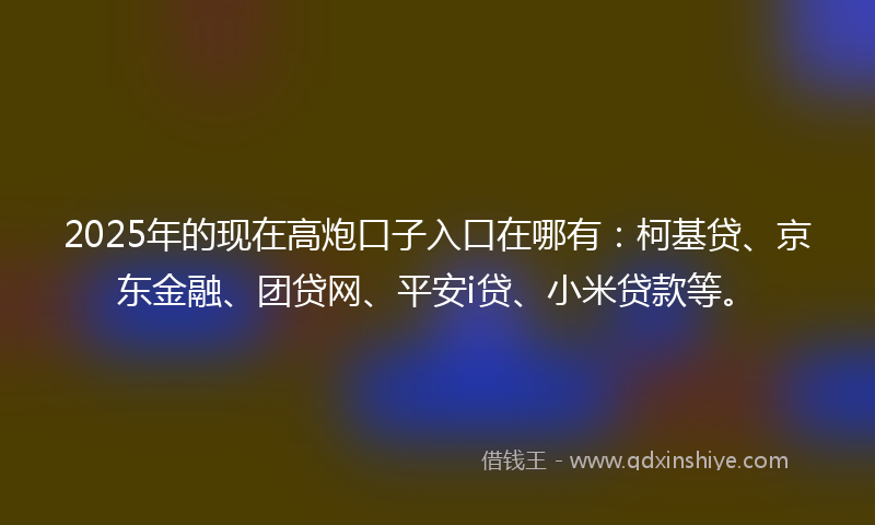 2025年的现在高炮口子入口在哪有：柯基贷、京东金融、团贷网、平安i贷、小米贷款等。