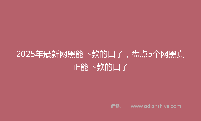 2025年最新网黑能下款的口子，盘点5个网黑真正能下款的口子