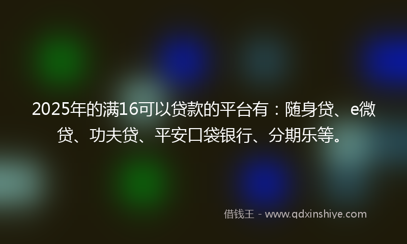 2025年的满16可以贷款的平台有：随身贷、e微贷、功夫贷、平安口袋银行、分期乐等。