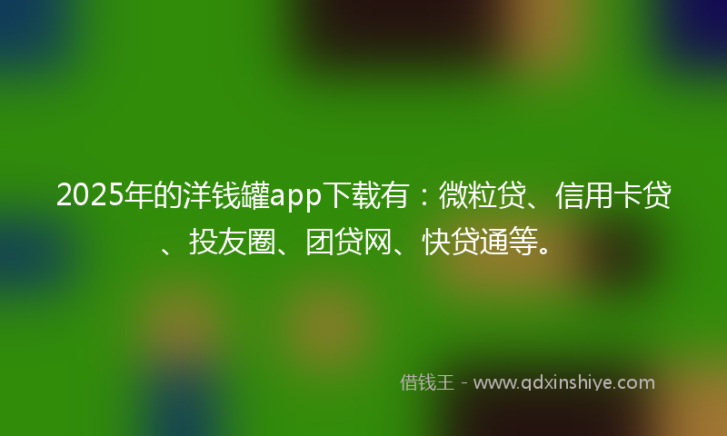 2025年的洋钱罐app下载有：微粒贷、信用卡贷、投友圈、团贷网、快贷通等。