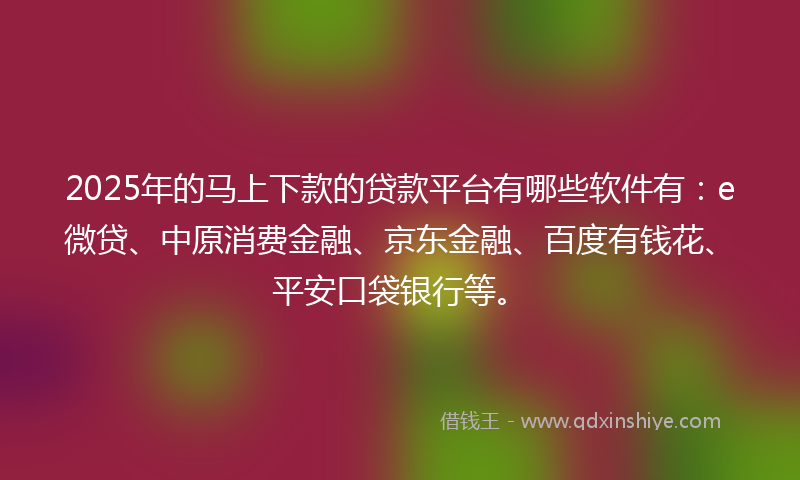 2025年的马上下款的贷款平台有哪些软件有：e微贷、中原消费金融、京东金融、百度有钱花、平安口袋银行等。