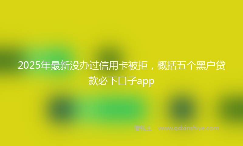 2025年最新没办过信用卡被拒，概括五个黑户贷款必下口子app