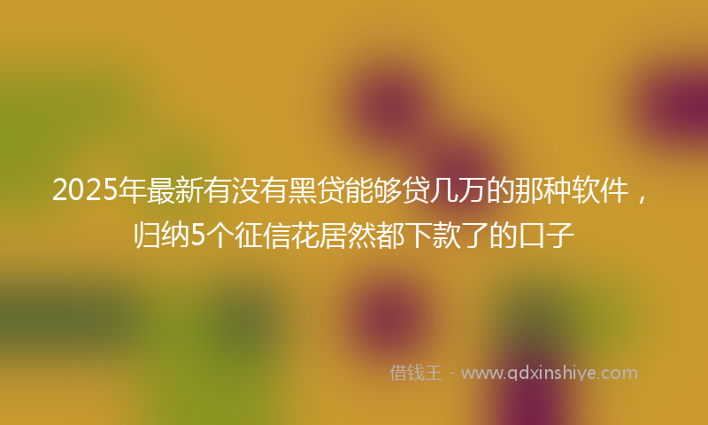 2025年最新有没有黑贷能够贷几万的那种软件，归纳5个征信花居然都下款了的口子