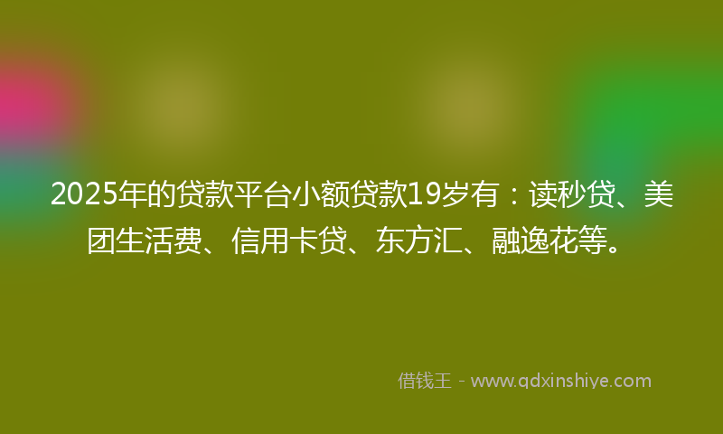 2025年的贷款平台小额贷款19岁有：读秒贷、美团生活费、信用卡贷、东方汇、融逸花等。