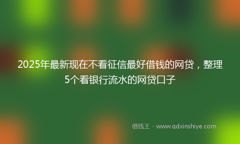 2025年最新现在不看征信最好借钱的网贷，整理5个看银行流水的网贷口子