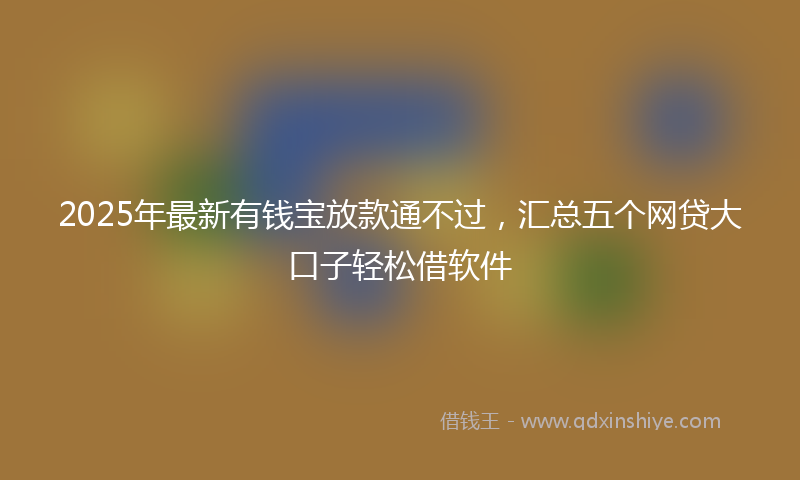 2025年最新有钱宝放款通不过，汇总五个网贷大口子轻松借软件