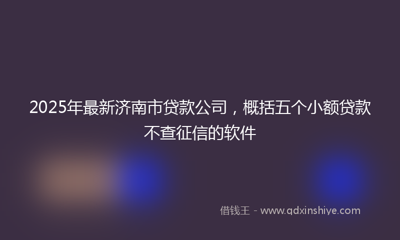 2025年最新济南市贷款公司，概括五个小额贷款不查征信的软件