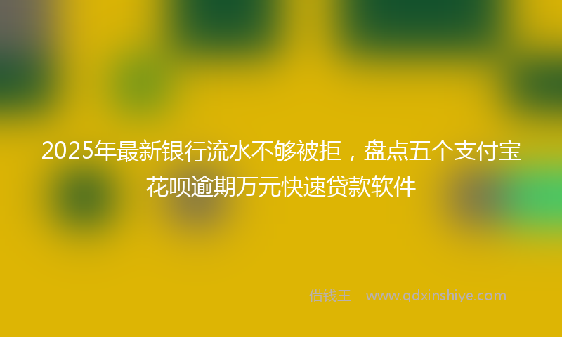 2025年最新银行流水不够被拒，盘点五个支付宝花呗逾期万元快速贷款软件
