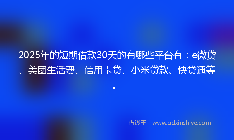 2025年的短期借款30天的有哪些平台有：e微贷、美团生活费、信用卡贷、小米贷款、快贷通等。