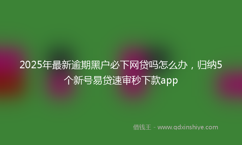 2025年最新逾期黑户必下网贷吗怎么办，归纳5个新号易贷速审秒下款app