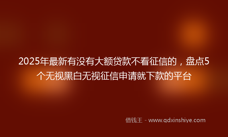 2025年最新有没有大额贷款不看征信的，盘点5个无视黑白无视征信申请就下款的平台