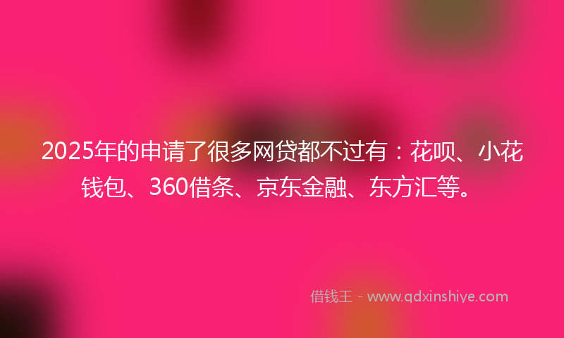 2025年的申请了很多网贷都不过有：花呗、小花钱包、360借条、京东金融、东方汇等。