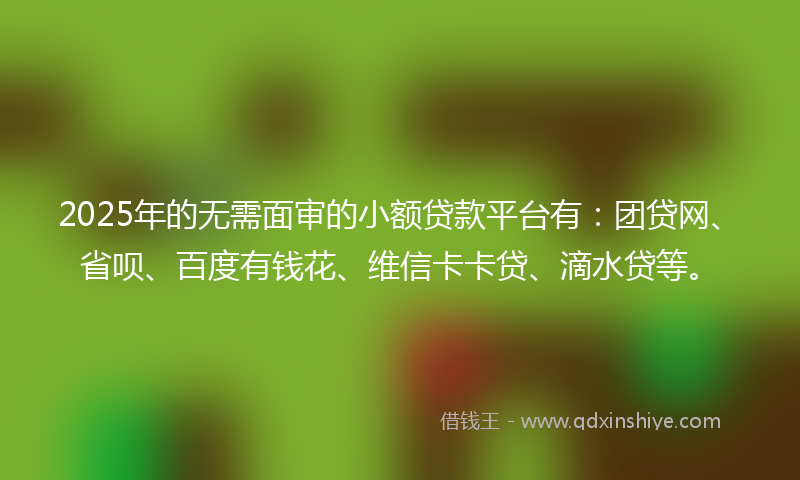 2025年的无需面审的小额贷款平台有：团贷网、省呗、百度有钱花、维信卡卡贷、滴水贷等。