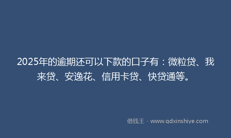2025年的逾期还可以下款的口子有：微粒贷、我来贷、安逸花、信用卡贷、快贷通等。