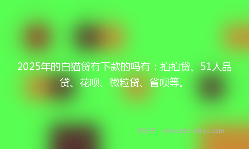 2025年的白猫贷有下款的吗有：拍拍贷、51人品贷、花呗、微粒贷、省呗等。