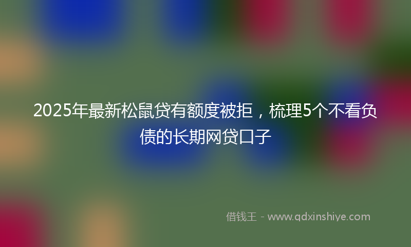 2025年最新松鼠贷有额度被拒，梳理5个不看负债的长期网贷口子