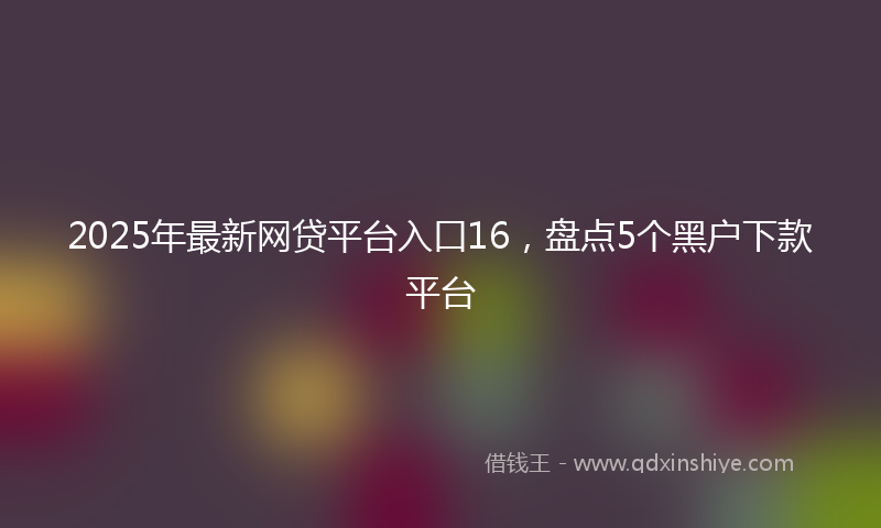 2025年最新网贷平台入口16，盘点5个黑户下款平台