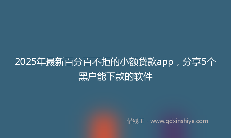 2025年最新百分百不拒的小额贷款app，分享5个黑户能下款的软件