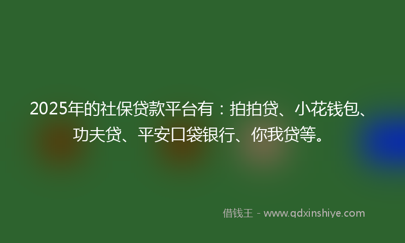 2025年的社保贷款平台有：拍拍贷、小花钱包、功夫贷、平安口袋银行、你我贷等。