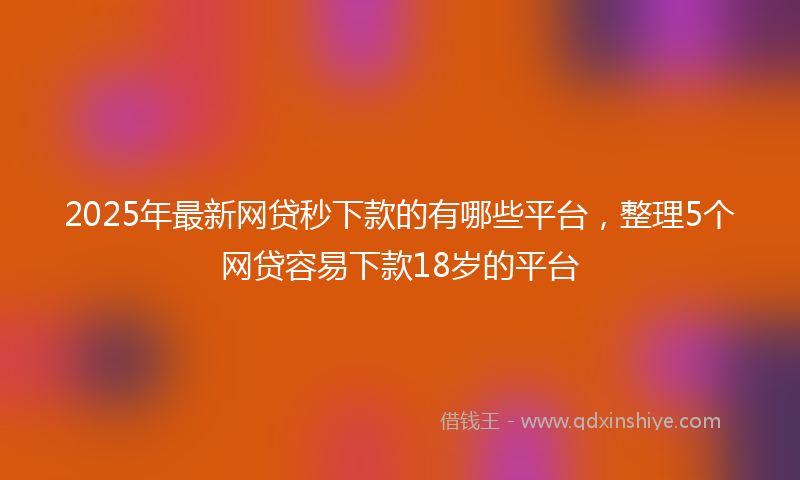 2025年最新网贷秒下款的有哪些平台，整理5个网贷容易下款18岁的平台
