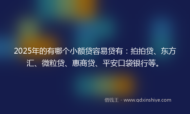 2025年的有哪个小额贷容易贷有：拍拍贷、东方汇、微粒贷、惠商贷、平安口袋银行等。
