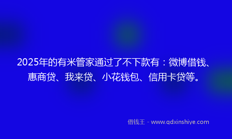 2025年的有米管家通过了不下款有：微博借钱、惠商贷、我来贷、小花钱包、信用卡贷等。