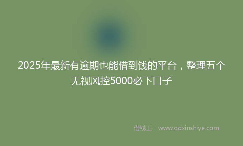 2025年最新有逾期也能借到钱的平台，整理五个无视风控5000必下口子