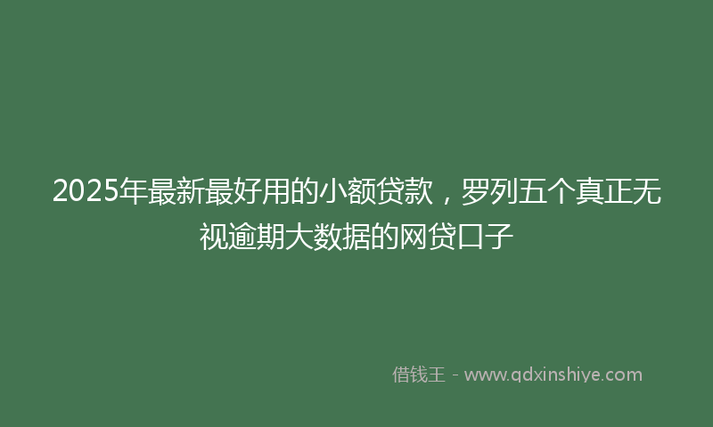 2025年最新最好用的小额贷款，罗列五个真正无视逾期大数据的网贷口子