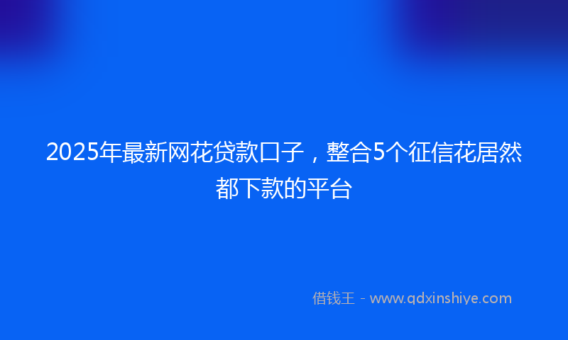 2025年最新网花贷款口子，整合5个征信花居然都下款的平台