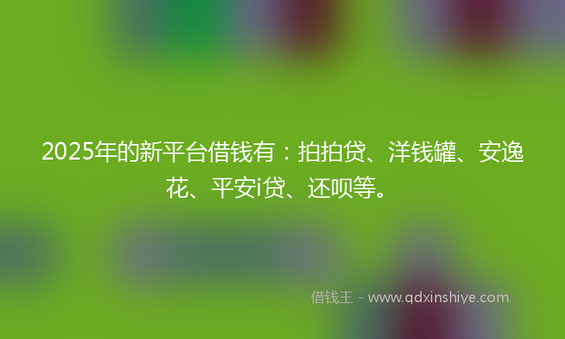 2025年的新平台借钱有：拍拍贷、洋钱罐、安逸花、平安i贷、还呗等。