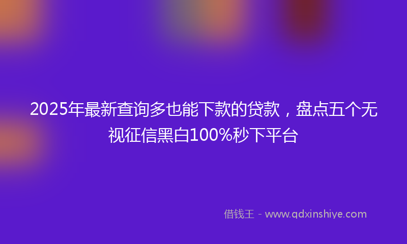 2025年最新查询多也能下款的贷款，盘点五个无视征信黑白100%秒下平台