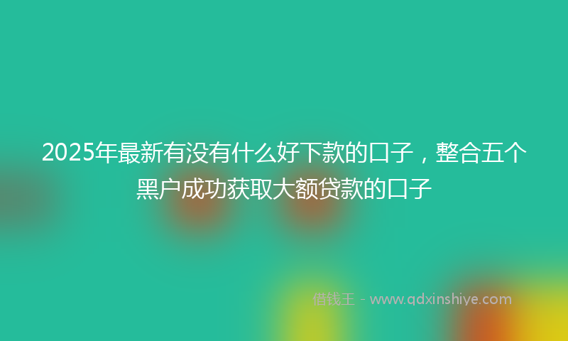 2025年最新有没有什么好下款的口子，整合五个黑户成功获取大额贷款的口子