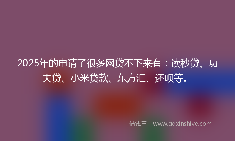 2025年的申请了很多网贷不下来有：读秒贷、功夫贷、小米贷款、东方汇、还呗等。