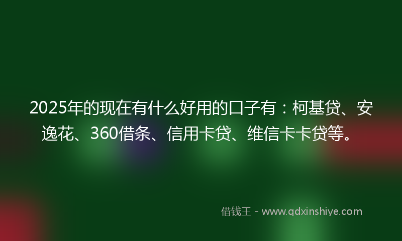 2025年的现在有什么好用的口子有：柯基贷、安逸花、360借条、信用卡贷、维信卡卡贷等。