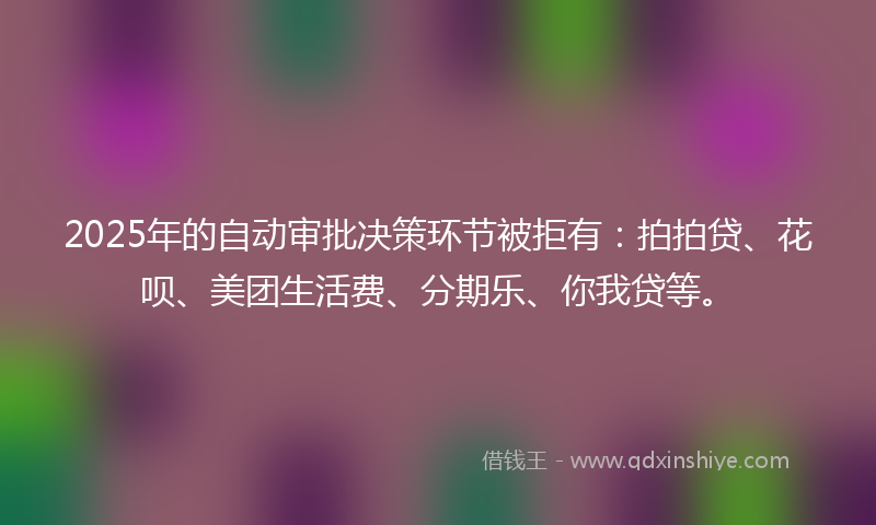 2025年的自动审批决策环节被拒有：拍拍贷、花呗、美团生活费、分期乐、你我贷等。