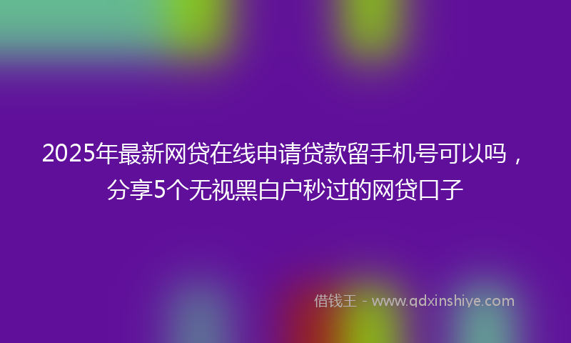 2025年最新网贷在线申请贷款留手机号可以吗，分享5个无视黑白户秒过的网贷口子