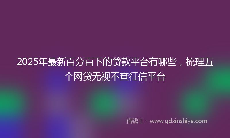 2025年最新百分百下的贷款平台有哪些，梳理五个网贷无视不查征信平台