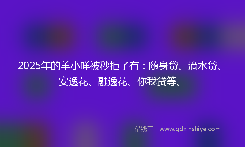 2025年的羊小咩被秒拒了有：随身贷、滴水贷、安逸花、融逸花、你我贷等。