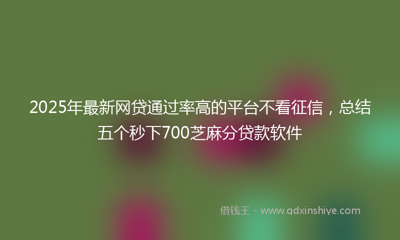 2025年最新网贷通过率高的平台不看征信，总结五个秒下700芝麻分贷款软件