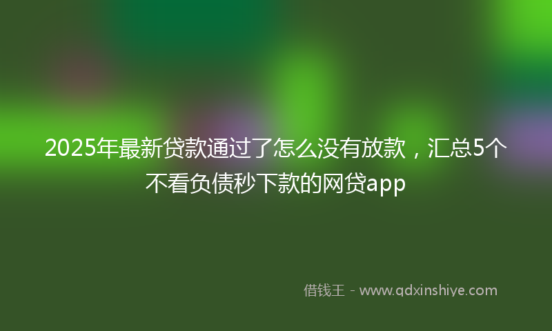 2025年最新贷款通过了怎么没有放款，汇总5个不看负债秒下款的网贷app