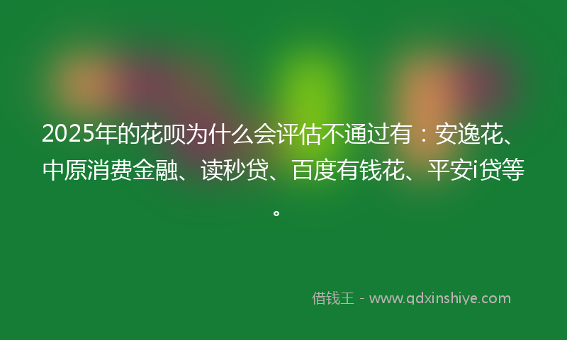 2025年的花呗为什么会评估不通过有：安逸花、中原消费金融、读秒贷、百度有钱花、平安i贷等。