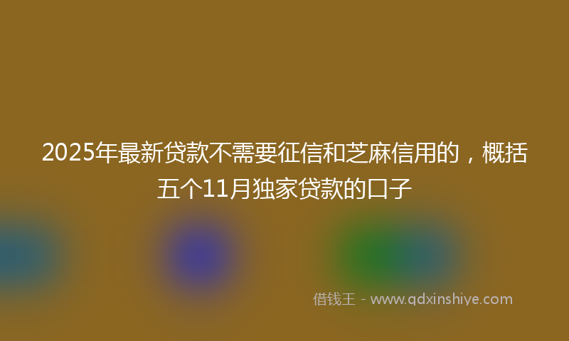 2025年最新贷款不需要征信和芝麻信用的，概括五个11月独家贷款的口子