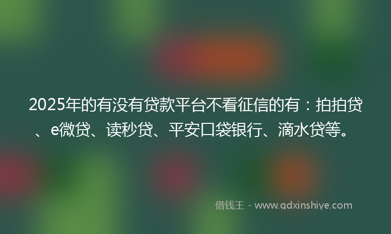 2025年的有没有贷款平台不看征信的有：拍拍贷、e微贷、读秒贷、平安口袋银行、滴水贷等。