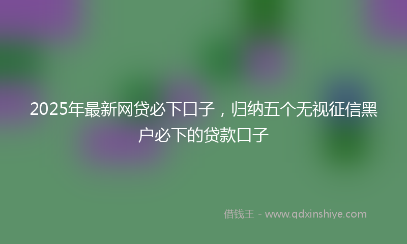 2025年最新网贷必下口子，归纳五个无视征信黑户必下的贷款口子