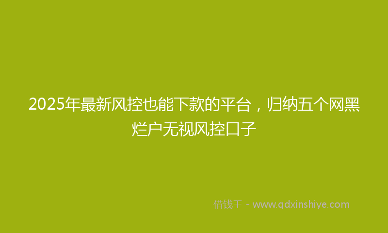 2025年最新风控也能下款的平台，归纳五个网黑烂户无视风控口子